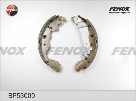 Fenox BP53009 - Комплект гальм, барабанний механізм autozip.com.ua