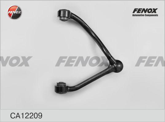 Fenox CA12209 - Важіль незалежної підвіски колеса autozip.com.ua