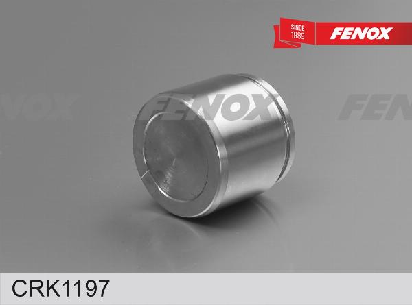 Fenox CRK1197 - Ремкомплект, гальмівний супорт autozip.com.ua
