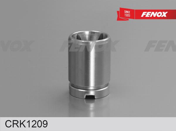 Fenox CRK1209 - Ремкомплект, гальмівний супорт autozip.com.ua