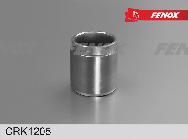 Fenox CRK1205 - Ремкомплект, гальмівний супорт autozip.com.ua
