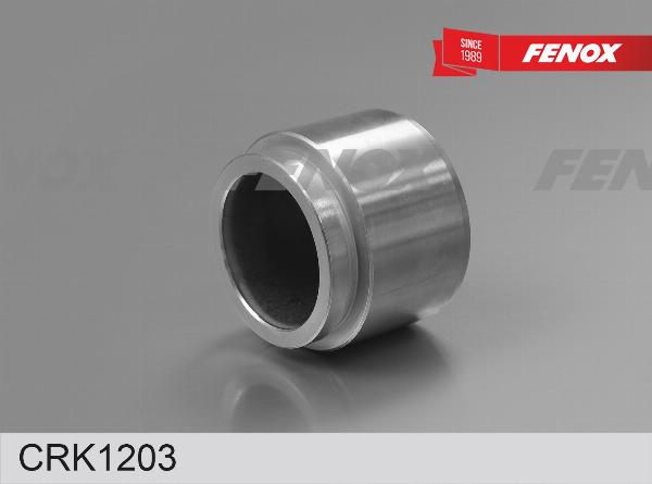 Fenox CRK1203 - Ремкомплект, гальмівний супорт autozip.com.ua