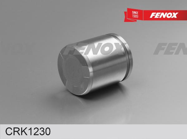 Fenox CRK1230 - Ремкомплект, гальмівний супорт autozip.com.ua