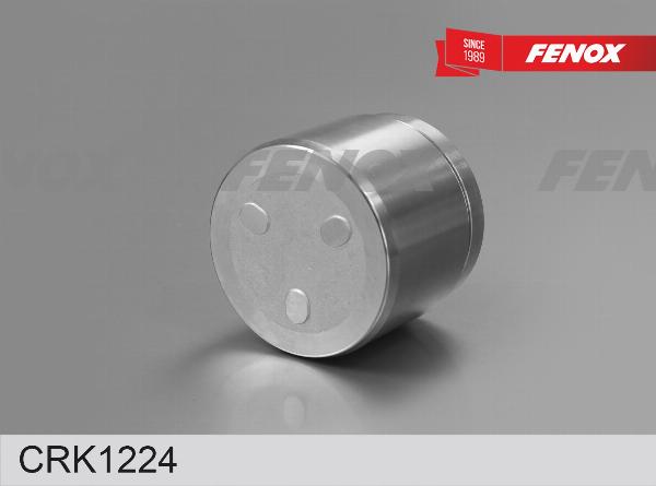 Fenox CRK1224 - Ремкомплект, гальмівний супорт autozip.com.ua