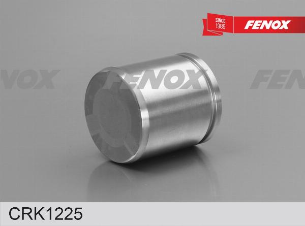 Fenox CRK1225 - Ремкомплект, гальмівний супорт autozip.com.ua