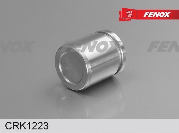 Fenox CRK1223 - Ремкомплект, гальмівний супорт autozip.com.ua