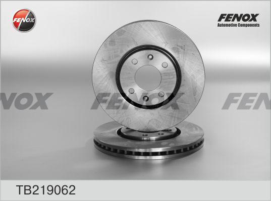 Fenox TB219062 - Гальмівний диск autozip.com.ua