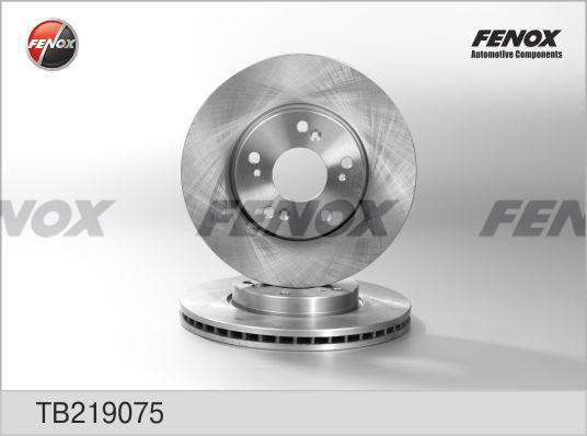 Fenox TB219075 - Гальмівний диск autozip.com.ua