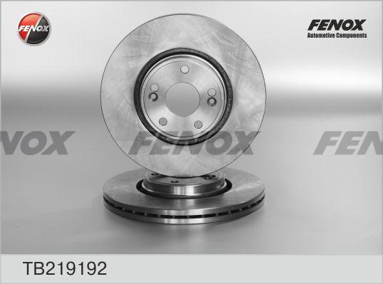 Fenox TB219192 - Гальмівний диск autozip.com.ua
