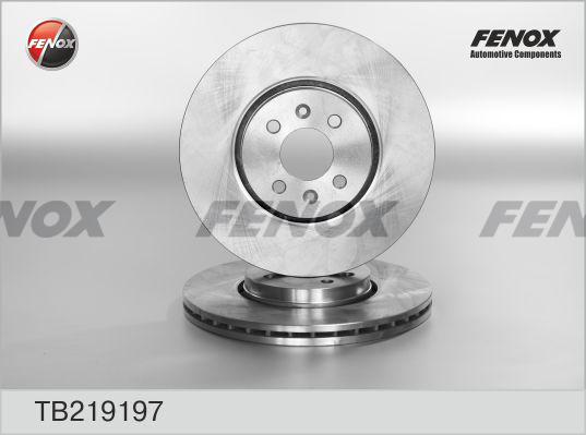 Fenox TB219197 - Гальмівний диск autozip.com.ua