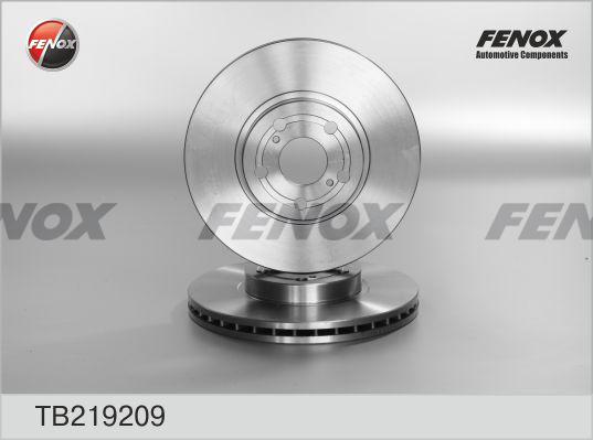 Fenox TB219209 - Гальмівний диск autozip.com.ua