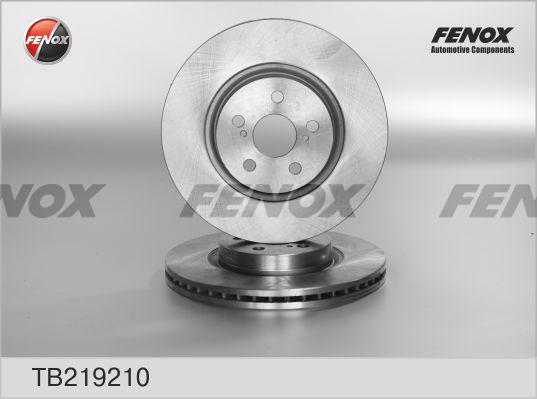 Fenox TB219210 - Гальмівний диск autozip.com.ua