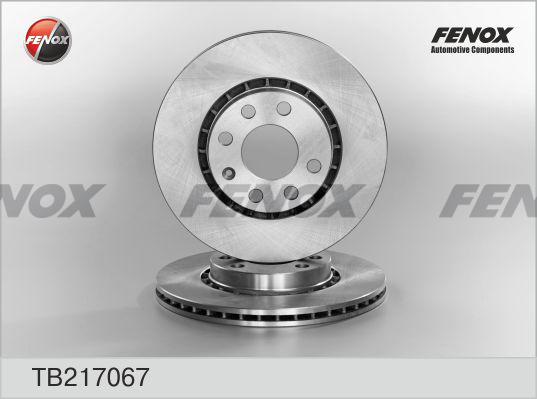 Fenox TB217067 - Гальмівний диск autozip.com.ua