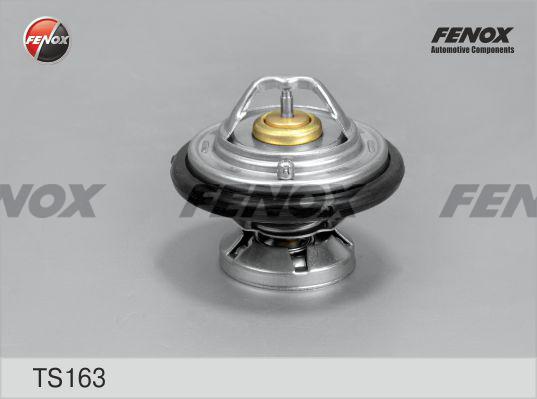 Fenox TS163 - Термостат, охолоджуюча рідина autozip.com.ua