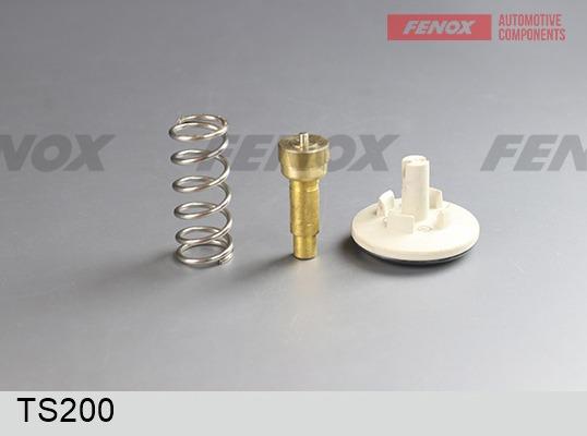 Fenox TS200 - Термостат, охолоджуюча рідина autozip.com.ua