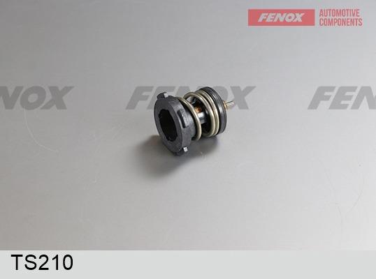 Fenox TS210 - Термостат, охолоджуюча рідина autozip.com.ua