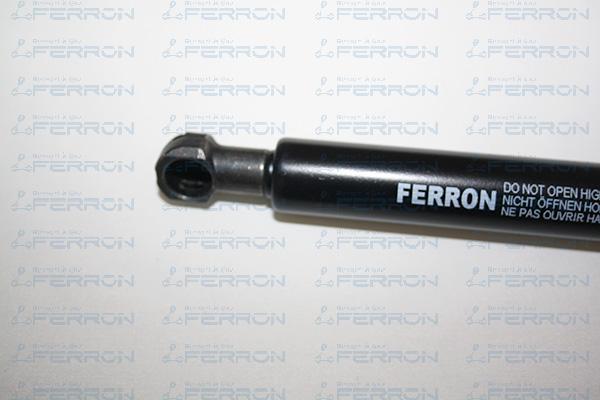 FERRON 194 - Газова пружина, кришка багажник autozip.com.ua