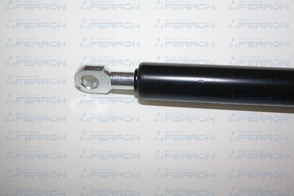 FERRON 188 - Газова пружина, капот autozip.com.ua