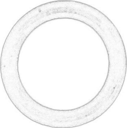 FORD 4775295 - Кільце ущільнювача валу, насос гідропідсилювача autozip.com.ua