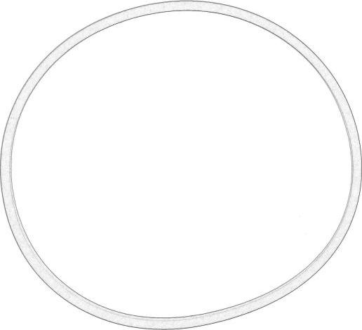 FORD 1738590 - Прокладка, випускний колектор autozip.com.ua