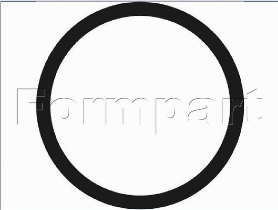 Formpart 1521003/S - Прокладка, термостат autozip.com.ua
