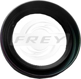 FREY 895500701 - Ущільнене кільце, колінчастий вал autozip.com.ua