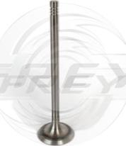 FREY 806701401 - Впускний клапан autozip.com.ua