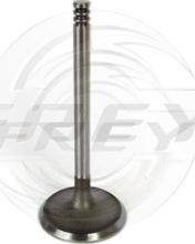 FREY 806701201 - Впускний клапан autozip.com.ua