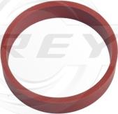 FREY 800613201 - Прокладка, корпус впускного колектора autozip.com.ua
