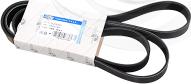 FREY 821609301 - Поліклиновий ремінь autozip.com.ua