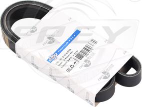 FREY 821607201 - Поліклиновий ремінь autozip.com.ua