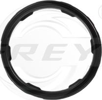 FREY 700513601 - Кільце ущільнювача, датчик рівня моторного масла autozip.com.ua