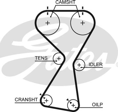 Gates T256RB - Ремінь ГРМ autozip.com.ua