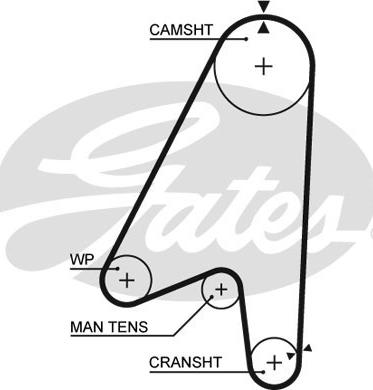 Gates 5239 - Ремінь ГРМ autozip.com.ua