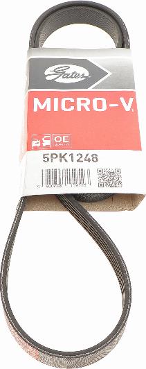 Gates 5PK1248 - Поліклиновий ремінь autozip.com.ua