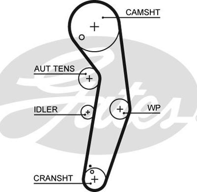 Gates K045569XS - Комплект ременя ГРМ autozip.com.ua