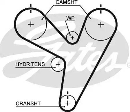 Gates T295 - Ремінь ГРМ autozip.com.ua