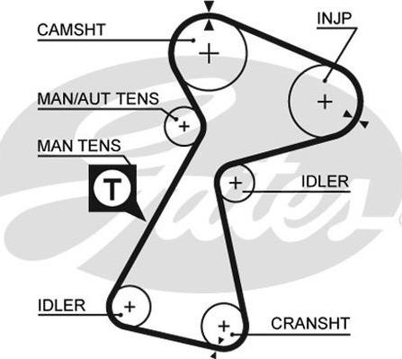 GATES-AU T1562 - Ремінь ГРМ autozip.com.ua