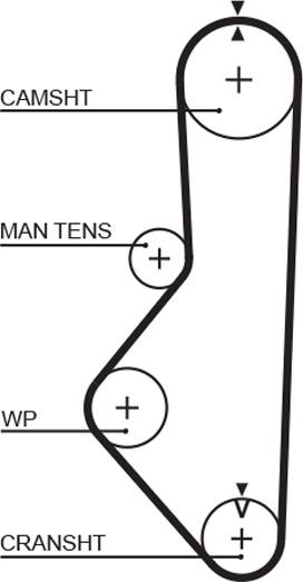 GATES T809 - Ремінь ГРМ autozip.com.ua