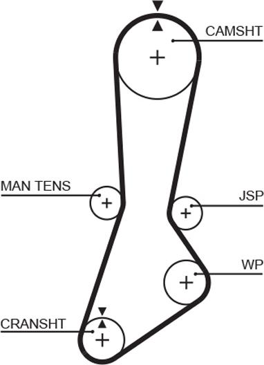 GATES-AU T829 - Ремінь ГРМ autozip.com.ua