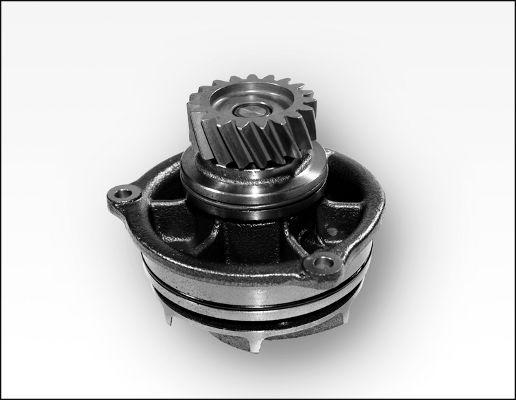 GK 981178 - Водяний насос autozip.com.ua