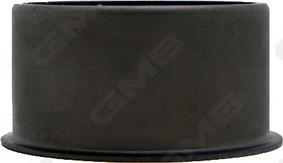 GMB GT60470 - Натяжний ролик, ремінь ГРМ autozip.com.ua