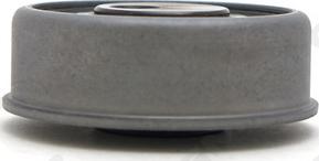 GMB GT10072 - Натяжний ролик, ремінь ГРМ autozip.com.ua