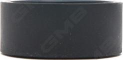 GMB GT80320 - Натяжний ролик, ремінь ГРМ autozip.com.ua