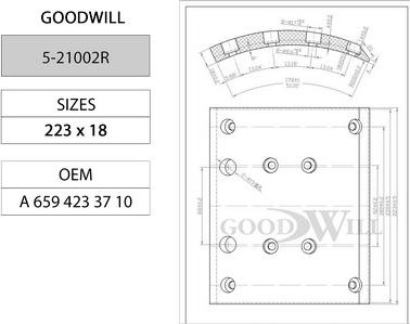 GoodWill 5-21002 R - Комплект гальм, барабанний механізм autozip.com.ua