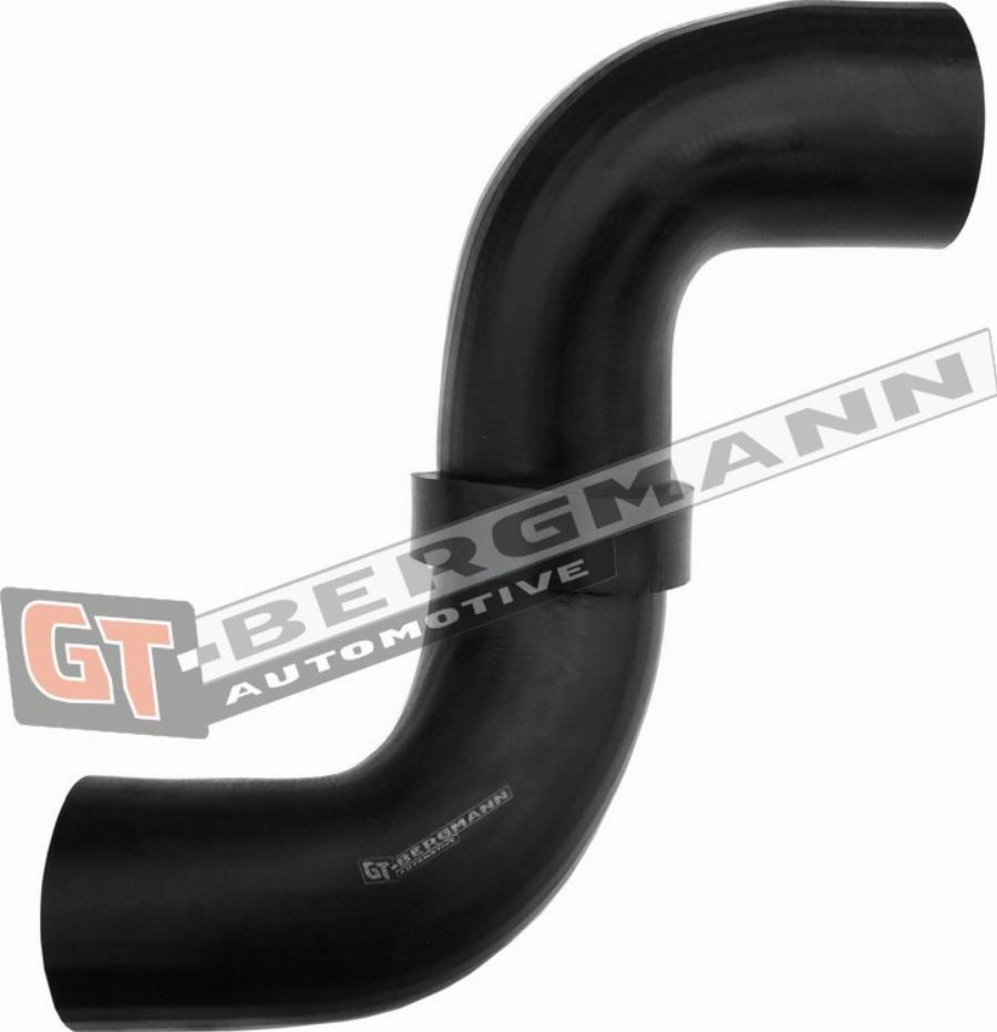 GT-BERGMANN GT52-565 - Трубка повітря, що нагнітається autozip.com.ua