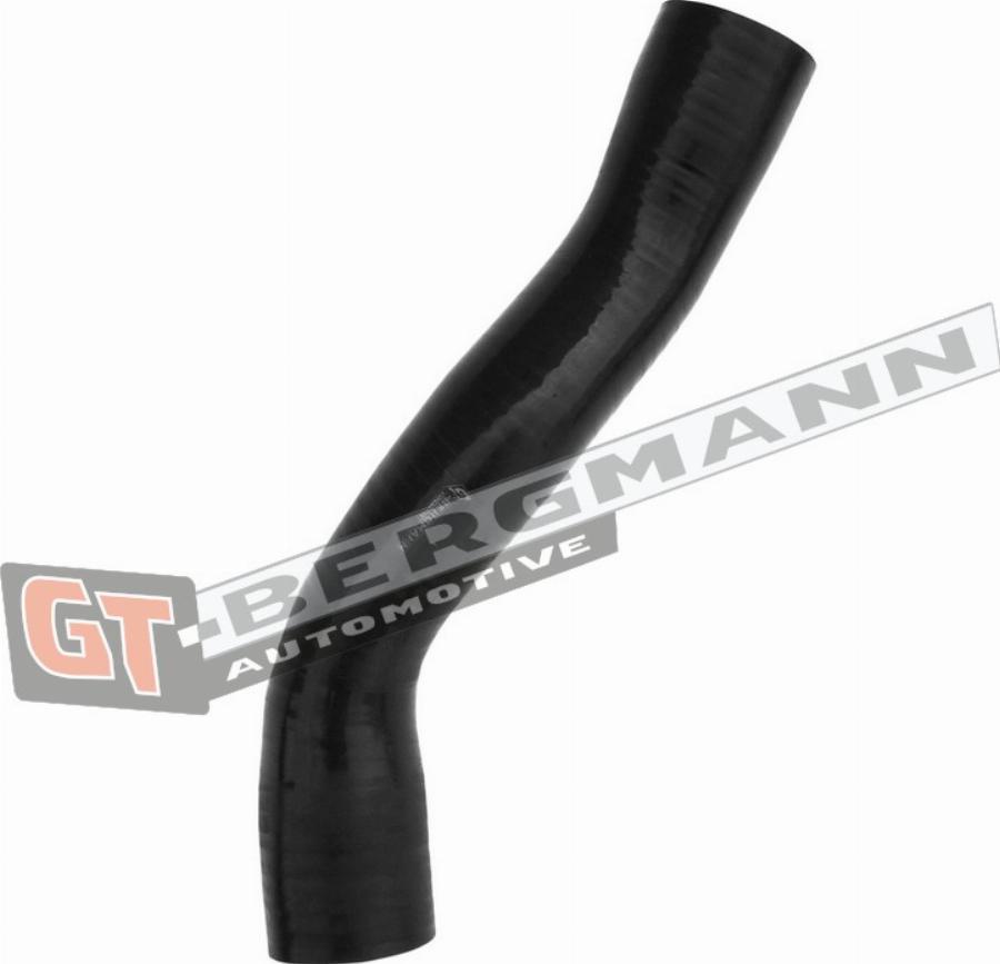 GT-BERGMANN GT52-377 - Трубка повітря, що нагнітається autozip.com.ua