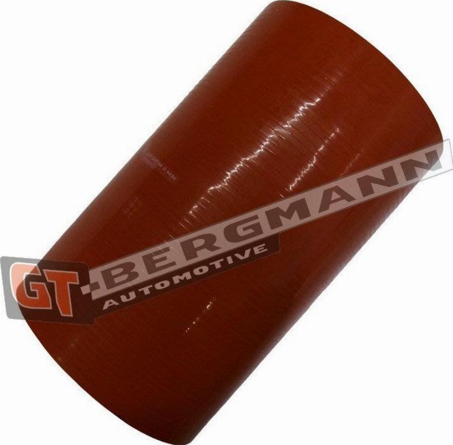 GT-BERGMANN GT52-748 - Трубка повітря, що нагнітається autozip.com.ua