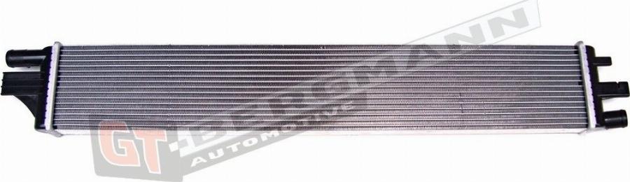 GT-BERGMANN GT10-006 - Радіатор, охолодження двигуна autozip.com.ua