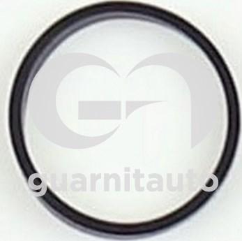 Guarnitauto 184219-8300 - Прокладка, впускний колектор autozip.com.ua